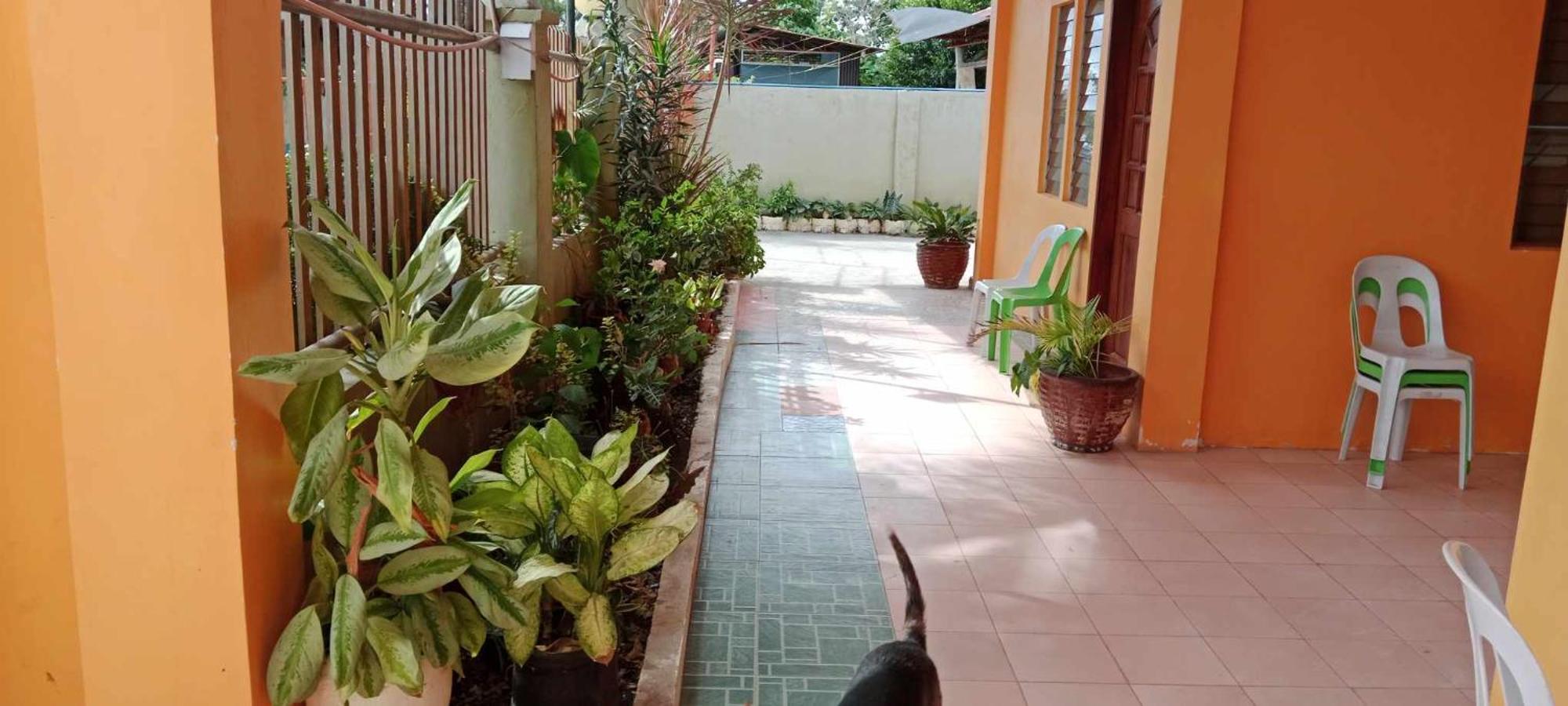 Hotel Jessa'S 5 Guests House Moalboal Esterno foto